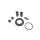 Ремкомплект супорта заднього FRENKIT 248067 для Volkswagen Tiguan, Renault Clio IV, Audi A2, Dacia Logan 2011-, d=48mm