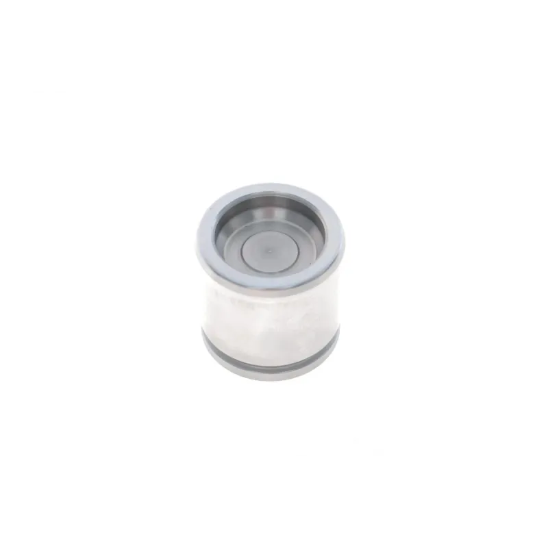 Ремкомплект переднього супорта FRENKIT 248913 з поршнем (d=48mm) для VW Golf II, Jetta II, Seat Ibiza II