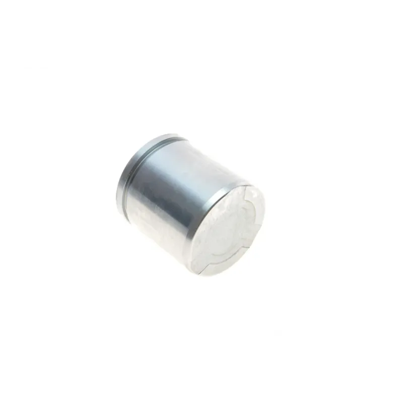 Ремкомплект супорта (переднього) Fiat Punto 93-00 (d=48mm) (Girling) (+ поршень)