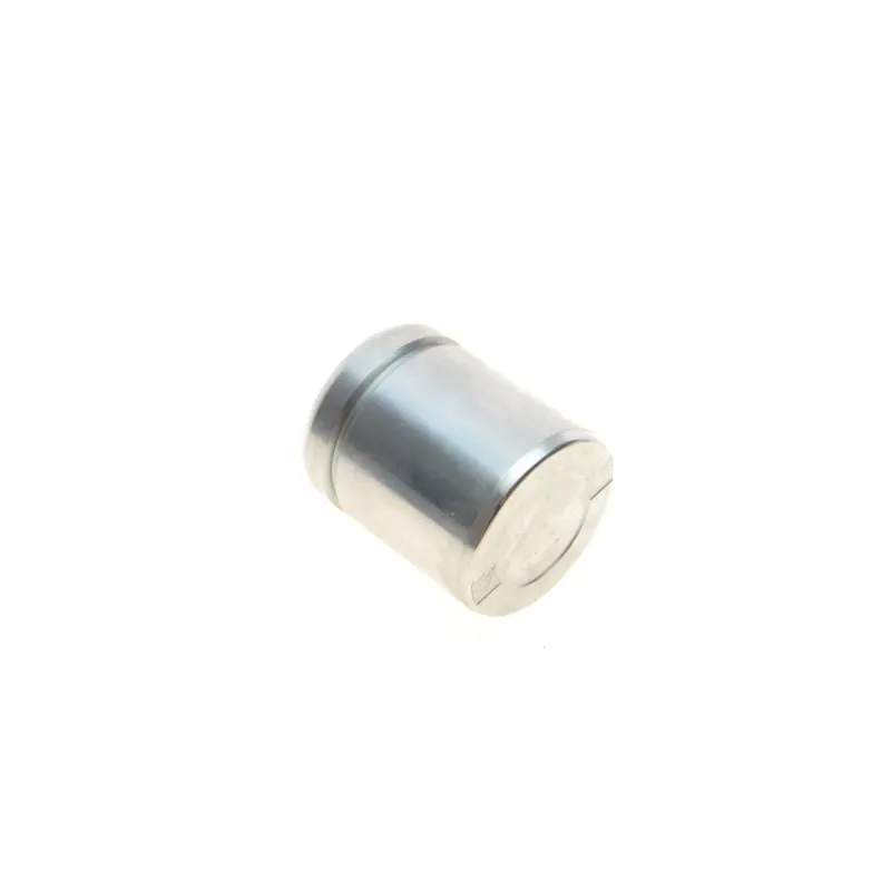 Ремкомплект супорта (переднього) Ford Fiesta 96-03 (d=48mm) (Ate) (+ поршень)