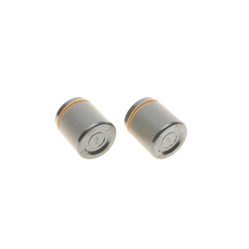 Ремкомплект супорта (переднього) Jeep Cherokee/Grand Cherokee 99-10 (d=48mm) (+2 поршня) (Ate)