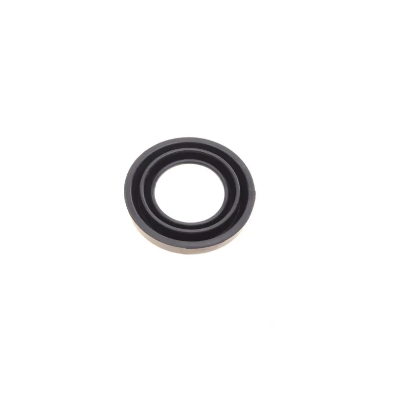 Ремкомплект супорта (заднього) Ford Transit V363 13- (d=54mm) (Bosch)