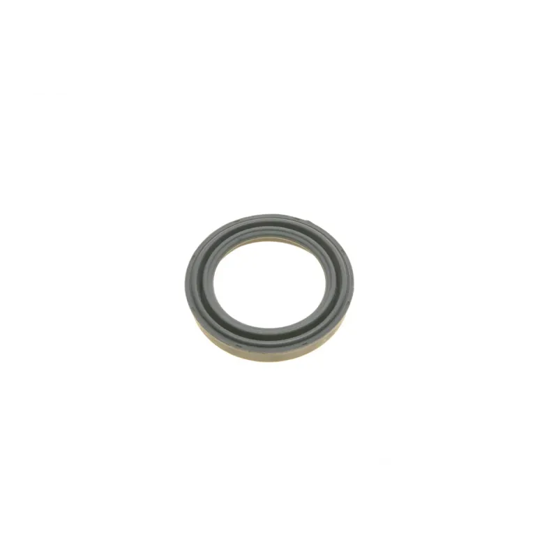 Ремкомплект супорта (переднього) Ford F-150/Expedition 07- (d=54mm)