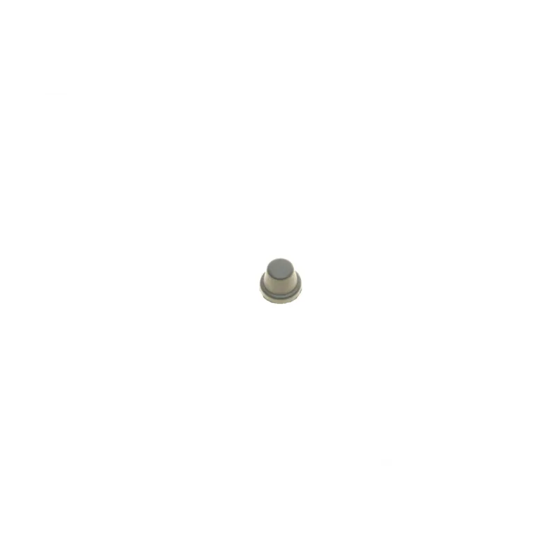 Ремкомплект супорта переднього FRENKIT 254844 для Opel Astra K 2015-, діаметр 54 мм