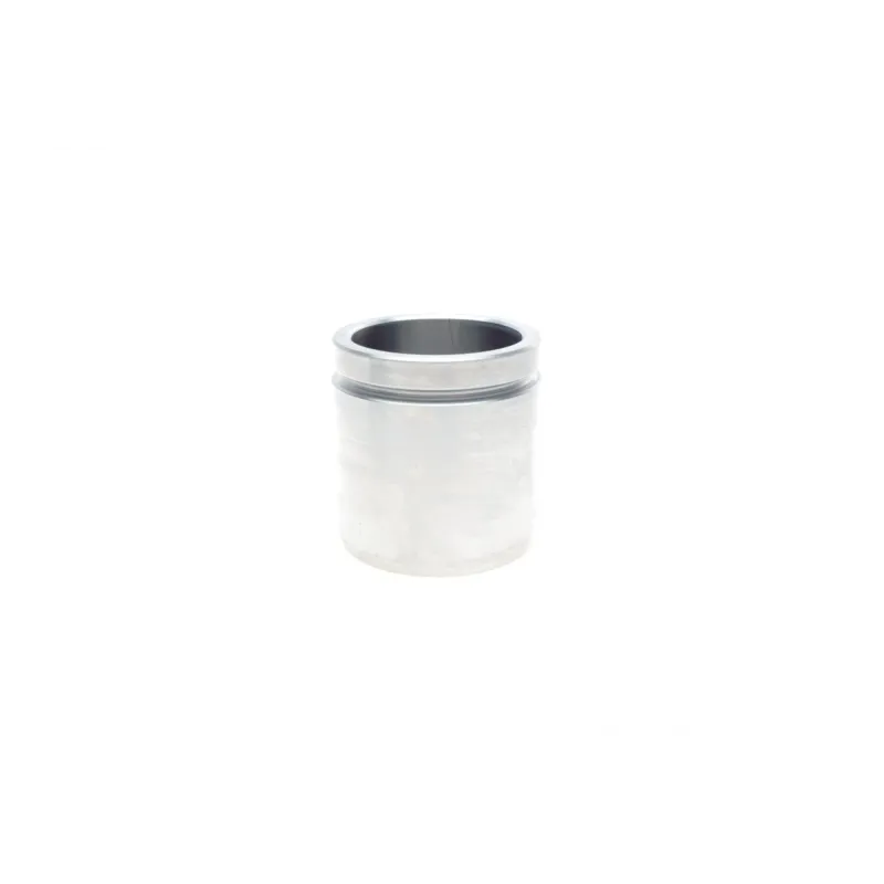 Ремкомплект супорта переднього FRENKIT 254913 (+поршень, d=54mm) для Ford Focus, Transit Connect