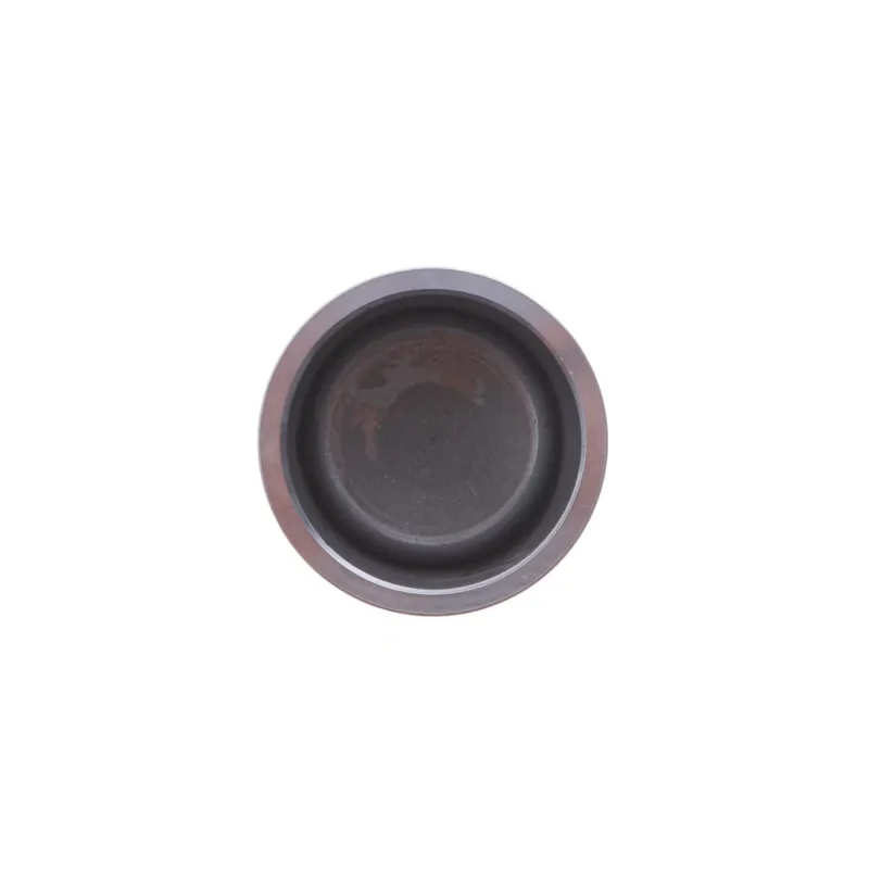 Ремкомплект супорта (переднього) BMW 1 (E81/E87) 03-12 (d=54mm) (+поршень) (Lucas)