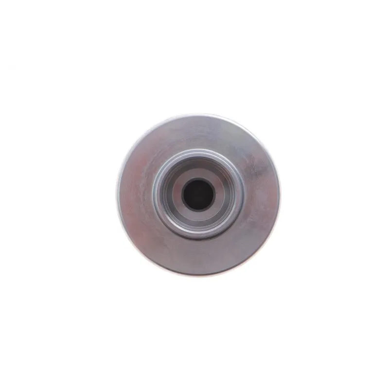 Ремкомплект супорта (заднього) Iveco Daily 06-14 (d=60mm) (+поршень) (Brembo)