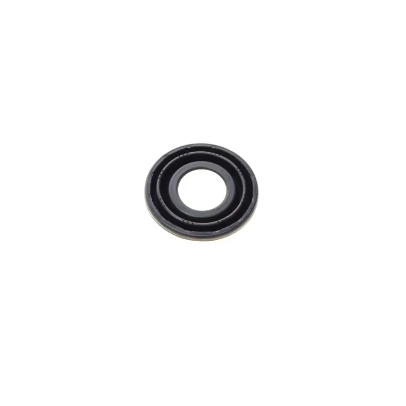 Ремкомплект супорта (заднього) Opel Astra 98-09 (d=34mm) (Bosch) (+поршень/направляюча)