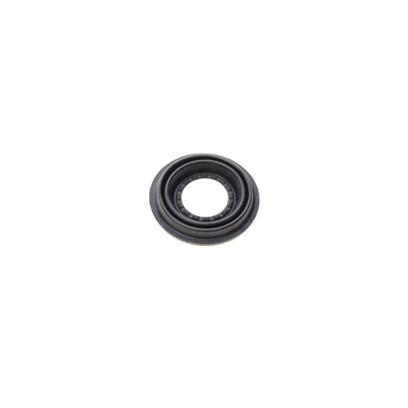 Ремкомплект супорта (заднього) Opel Astra 98-09 (d=34mm) (Bosch) (+поршень/направляюча)