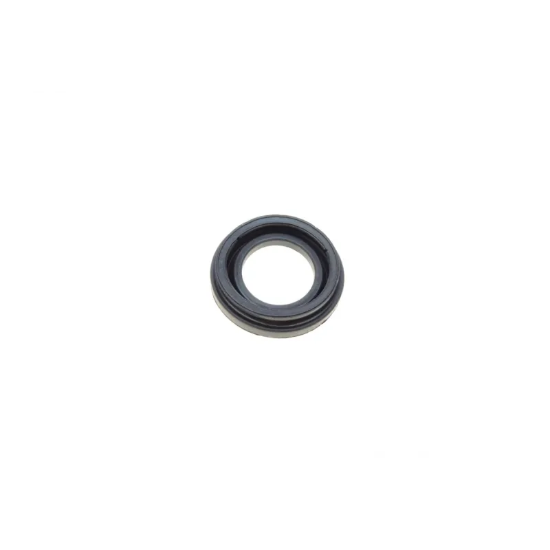 Ремкомплект супорта (заднього) Renault Megane 01- (d=34mm) (Lucas/TRW) (+поршень/направляюча)