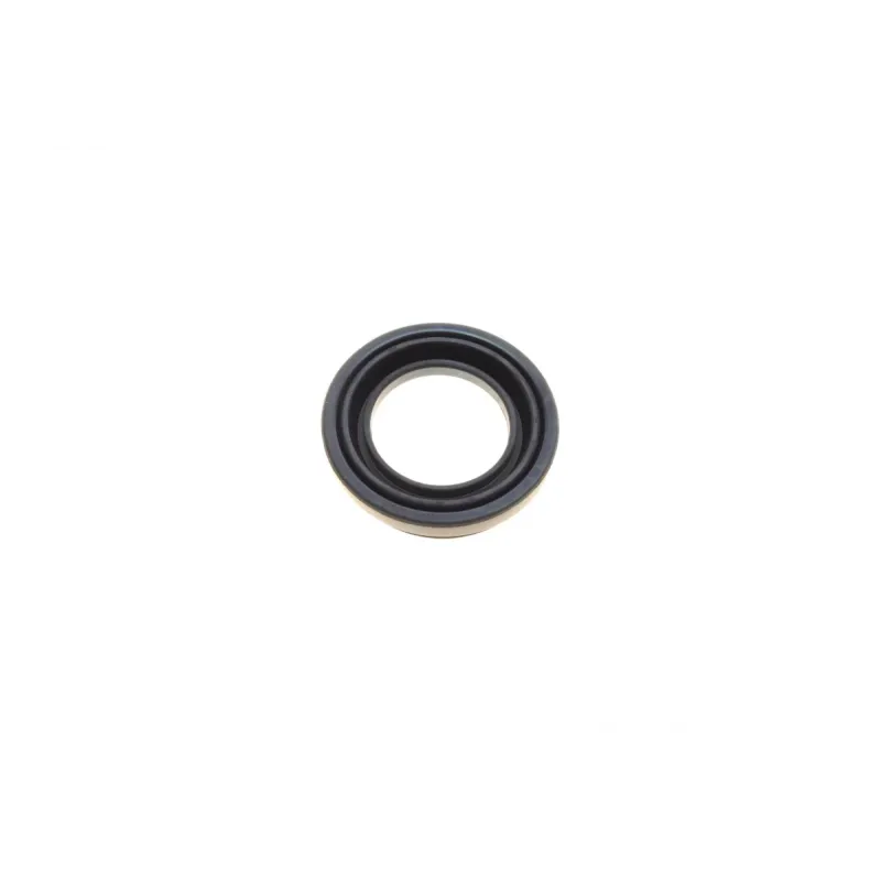 Ремкомплект супорта (заднього) VW Golf/Passat 91-99 (d=38mm) (Lucas) (+поршень/направляюча)