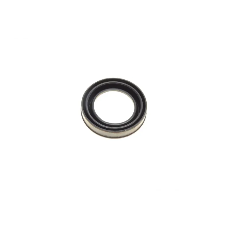 Ремкомплект супорта (заднього) MB Vito (W639) 03- (d=38mm) (Bosch) (+поршень/направляюча)