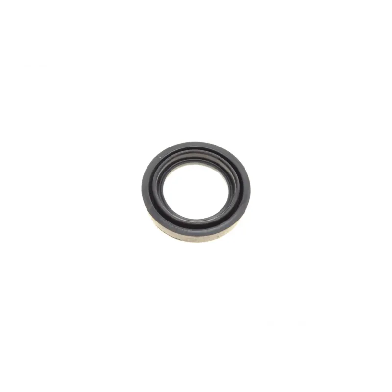 Ремкомплект супорта (заднього) MB Vito (W639) 03- (d=38mm) (Bosch) (+поршень/направляюча)