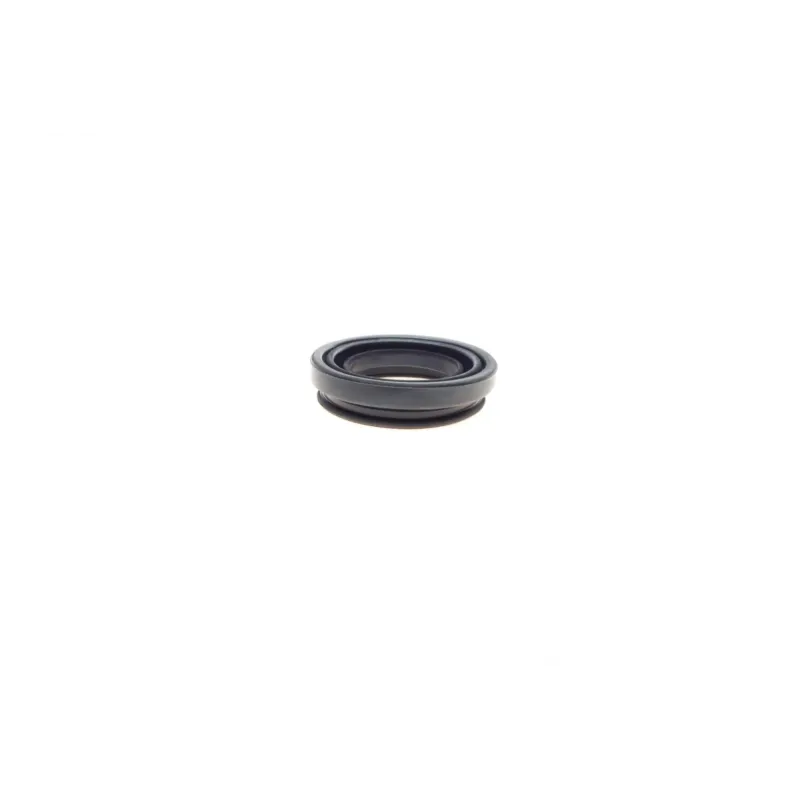 Ремкомплект супорта (заднього/електроручника) VW Passat/Renault Grand Scenic III 05- (d=38mm) (TRW) (+поршень/направляюча) SuperKit