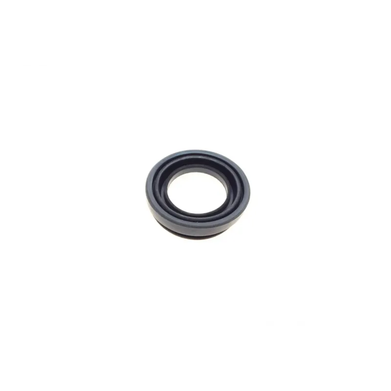 Ремкомплект супорта (заднього/електроручника) VW Passat/Renault Grand Scenic III 05- (d=38mm) (TRW) (+поршень/направляюча) SuperKit