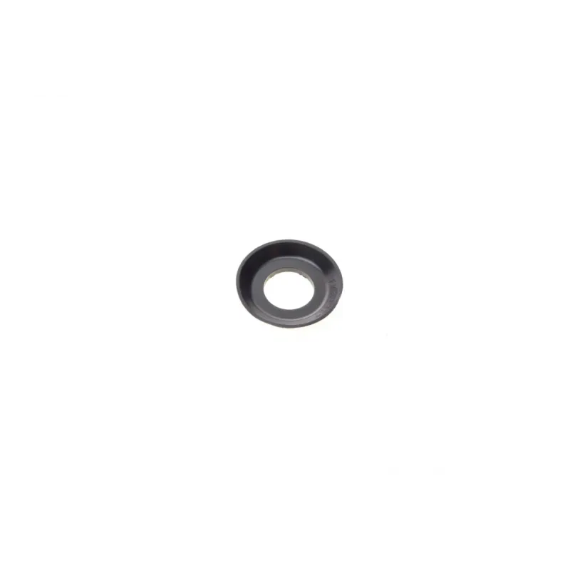 Ремкомплект супорта (заднього) Ford Mondeo 2.0DI 00-07 (d=38mm) (Bosch) (+поршень/направляюча)