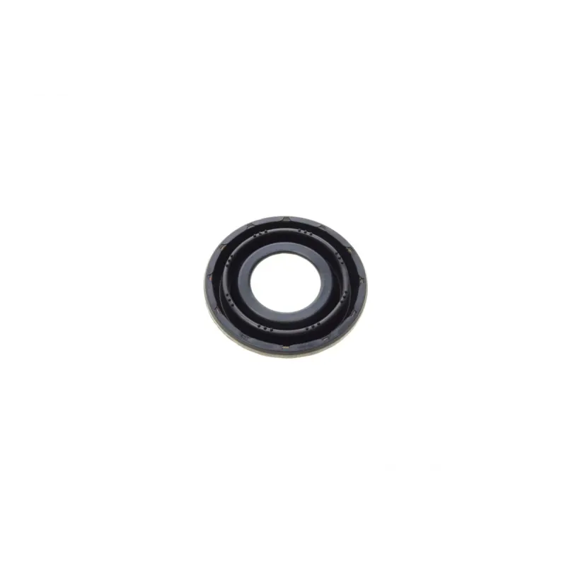 Ремкомплект супорта (заднього) Ford Mondeo 2.0DI 00-07 (d=38mm) (Bosch) (+поршень/направляюча)
