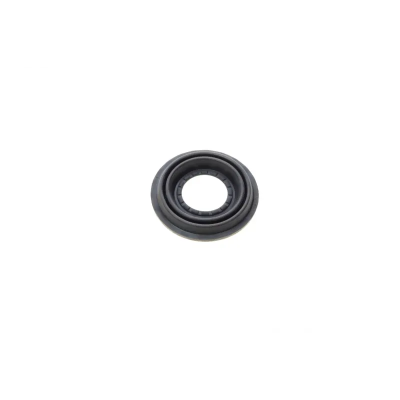 Ремкомплект супорта (заднього) Ford Mondeo 2.0DI 00-07 (d=38mm) (Bosch) (+поршень/направляюча)