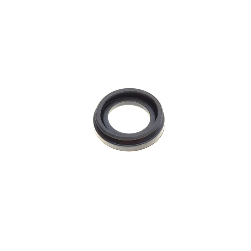 Ремкомплект супорта (заднього) VW Passat 2.5 11- (d=38mm) (+поршень/направляюча) (Trw)