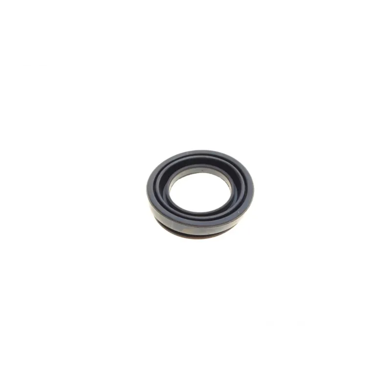 Ремкомплект супорта (заднього) VW Passat 2.5 11- (d=38mm) (+поршень/направляюча) (Trw)