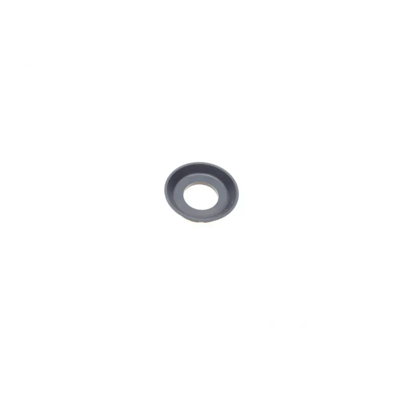 Ремкомплект супорта (заднього) Ford Mondeo 2.0DI 00-07 (d=38mm) (Bosch) (+поршень/направляюча) SuperKit
