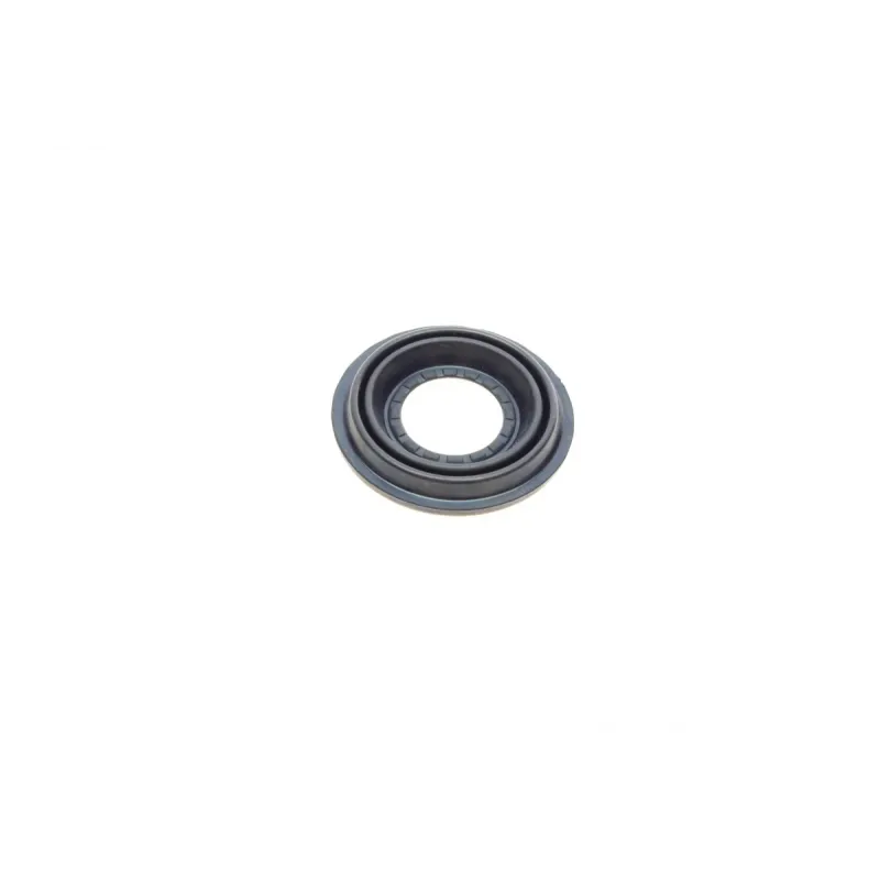 Ремкомплект супорта (заднього) Ford Mondeo 2.0DI 00-07 (d=38mm) (Bosch) (+поршень/направляюча) SuperKit