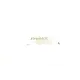 Ремкомплект супорта (заднього/EPB) Renault Grand Scenic III 05- (d=38mm)(TRW)(+поршень/направляюча)