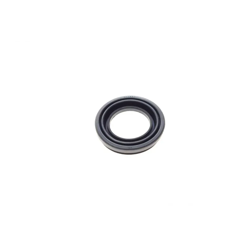 Ремкомплект супорта (заднього/EPB) Renault Grand Scenic III 05- (d=38mm)(TRW)(+поршень/направляюча)