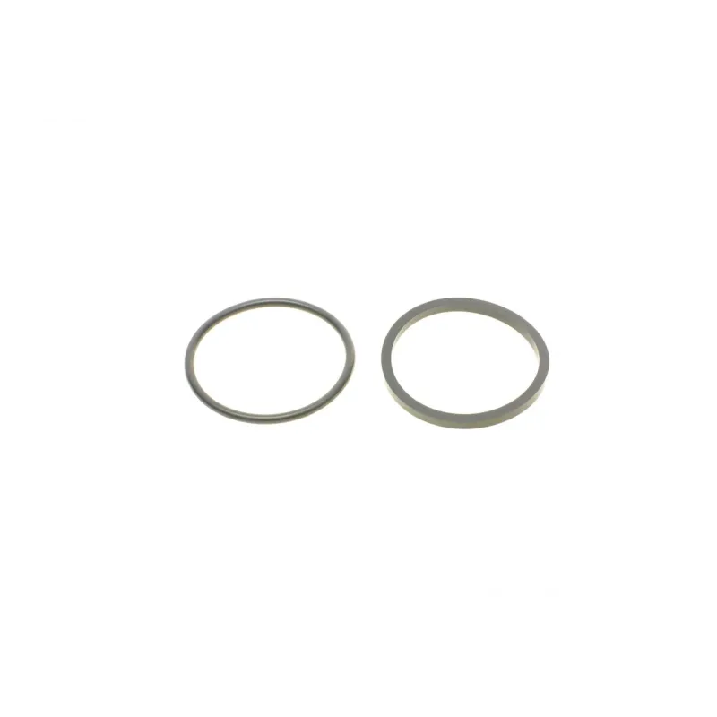 Ремкомплект супорта (заднього) BMW 5 (F10/F11)/6 (F12/F13) 10- (d=44mm) (+поршень/направляюча)(TRW)