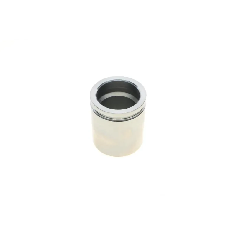 Ремкомплект супорта (переднього) VW Golf/Skoda Fabia 91-14 (d=48mm)(Ate/Bosch)(+1 поршен/направляюч)