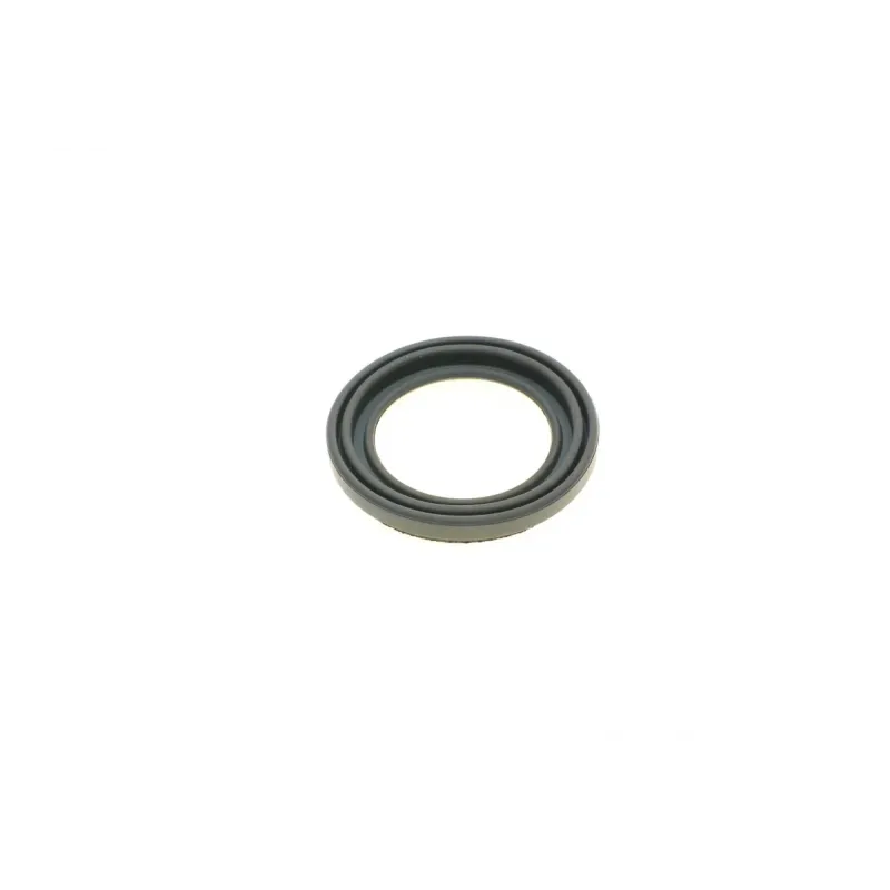 Ремкомплект супорта (заднього) Citroen Jumper/Peugeot Boxer 06- (d=52mm)(Brembo)(+1 поршен/направляє)