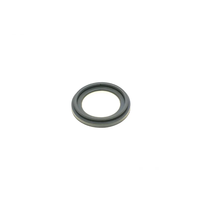 Ремкомплект супорта (заднього) Citroen Jumper/Peugeot Boxer 06- (d=52mm)(Brembo)(+1 поршен/направляє)