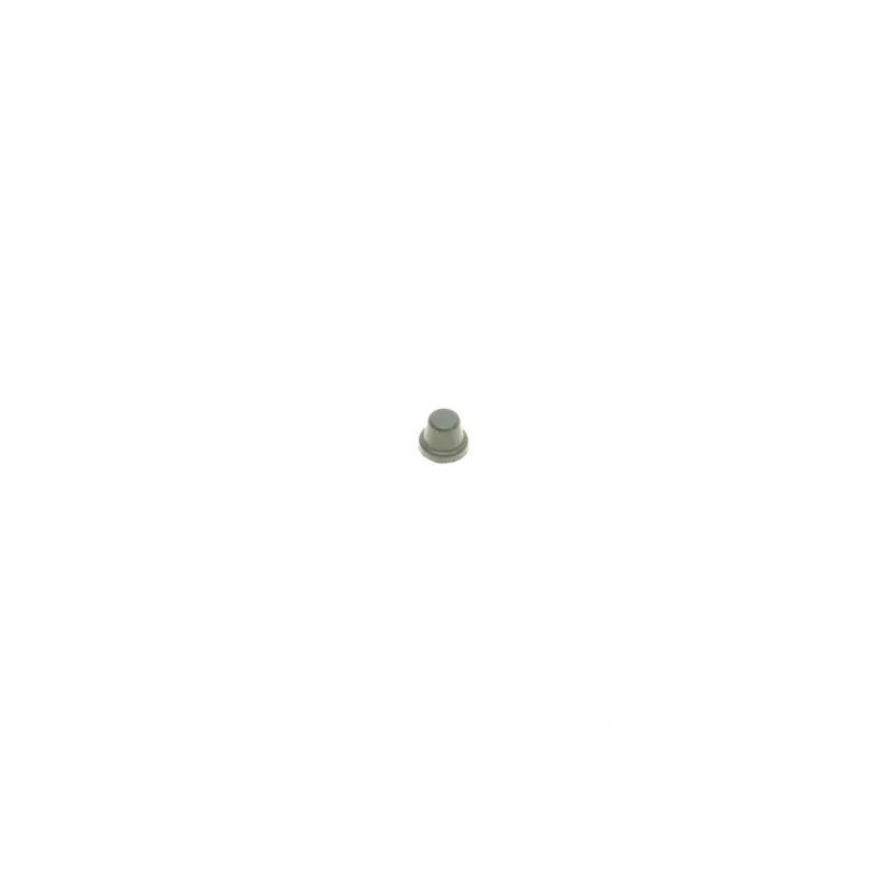 Ремкомплект супорта (переднього) Toyota Camry 96-03 (d=60mm)(Akeb)(+ поршен/направляюча)