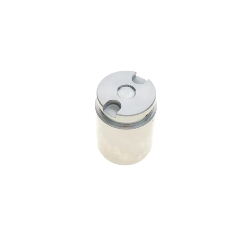 Поршень супорта (заднього) Mazda 6 02-08/Renault Megane 3 08- (34x48mm) (Tokic/TRW)(з механізмом)