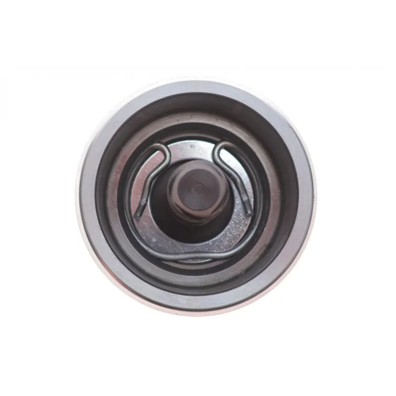 Поршень супорта (заднього) Ford Transit 2.2-2.4 TDCI 06-14 (L) (48x52mm) (Bosch) (з механізмом)