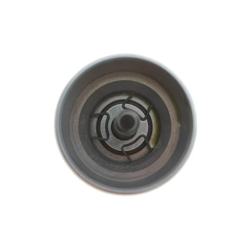 Поршень супорта (заднього) Opel Movano/Renault Master 10- (60x54mm) (Brembo) (з механізмом)
