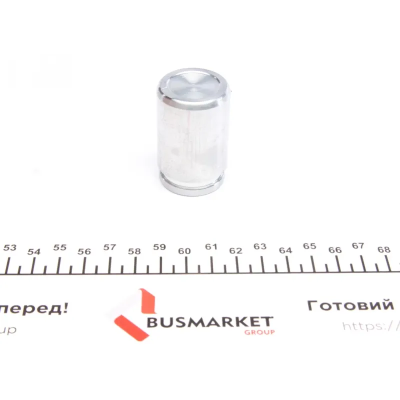 Поршень супорта (заднього) Hyundai Accent/KIA Rio 05-11 (30.9x47.5mm)(Kask)