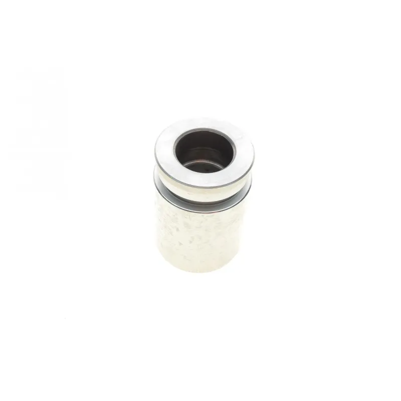 Поршень супорта (заднього) BMW 3 (E30)/5 (E28)/7 (E23) 77-94 (33x48mm) (Ate)
