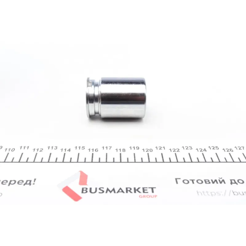 Поршень супорта (заднього) Opel Astra G 98-09 (34x47mm) (Bosch)