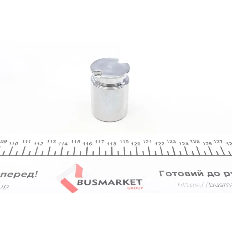 Поршень супорта (заднього) Opel Astra G 98-09 (34x47mm) (Bosch)