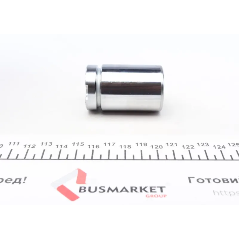 Поршень супорта (заднього) BMW 2 (F45/F23)/X1 (F48)/Mini Cooper 13- (34x54mm) (Ate)