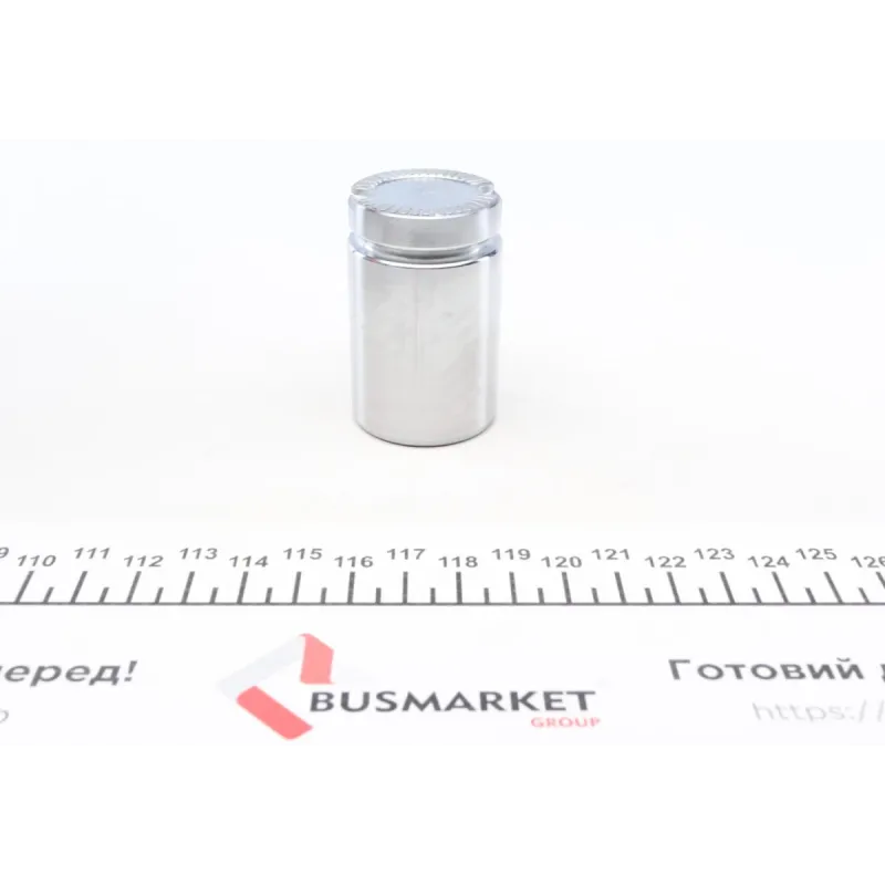 Поршень супорта (заднього) BMW 2 (F45/F23)/X1 (F48)/Mini Cooper 13- (34x54mm) (Ate)