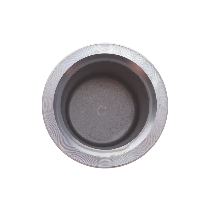 Поршень супорта (заднього) Toyota Camry 2,4/3,0 01-06 (38x45mm) (Advi)