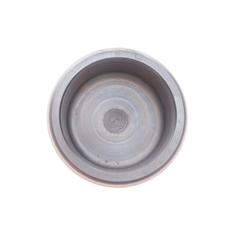 Поршень супорта (заднього) Toyota Camry 2,4/3,0 01-06 (38x45mm) (Advi)