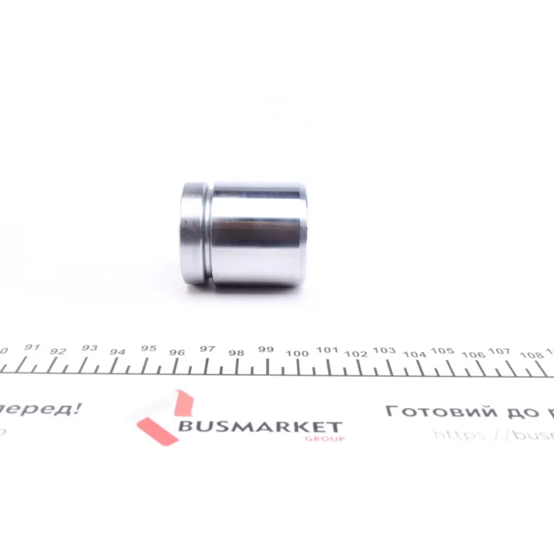 Поршень супорта (заднього) BMW X3 (E83) 04- (42x48mm) (Ate)