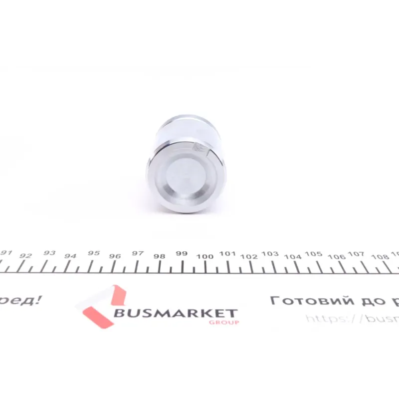 Поршень супорта (заднього) BMW X3 (E83) 04- (42x48mm) (Ate)
