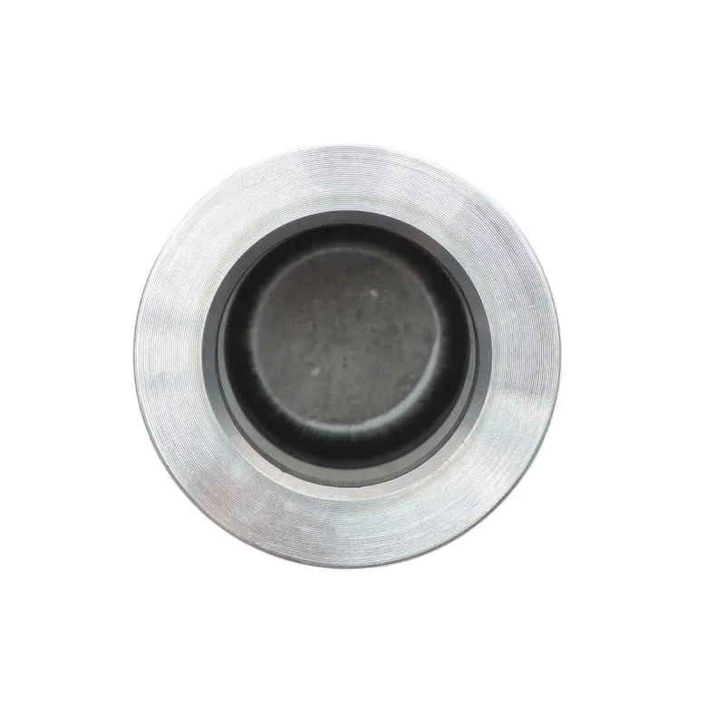 Поршень супорта (переднього) BMW 5 (E60)/6 (E63)/7 (E65/E66/E67) 01-10 (42x56mm)