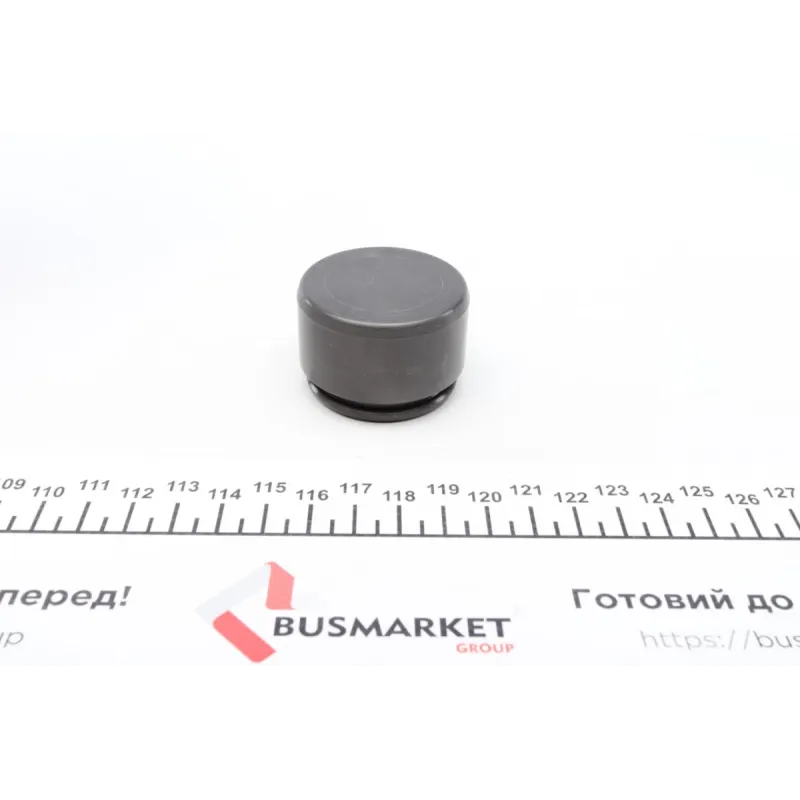 Поршень супорта передній FRENKIT P443002 для Opel Astra J, Audi TT, Aston Martin DB9 44x30мм