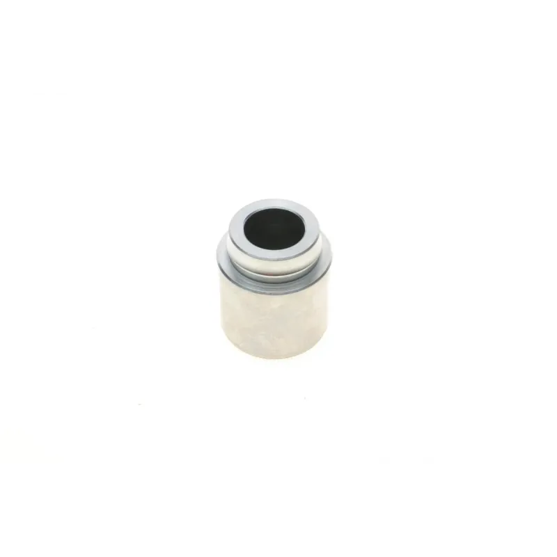 Поршень супорта (переднього) Lexus GS/IS/LS 89-10 (44x50,8mm) (Aisin)