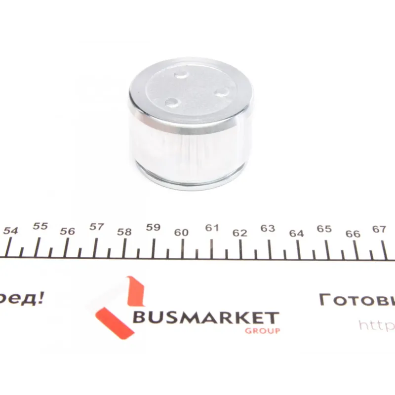 Поршень супорта (переднього) Toyota Land Cruiser/Lexus LX 98- (48x31,5mm) (Ate)